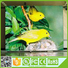 P4.81 Die Casting Indoor Rental Led Screen 70w With CE RoHS UL Certifications
